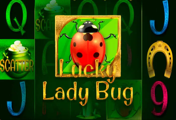 Online casino promotions featuring exclusive bonus codes for free spins & game access.