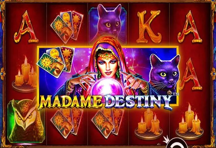 Magical Spin Casino download store for desktop and mobile casino games.